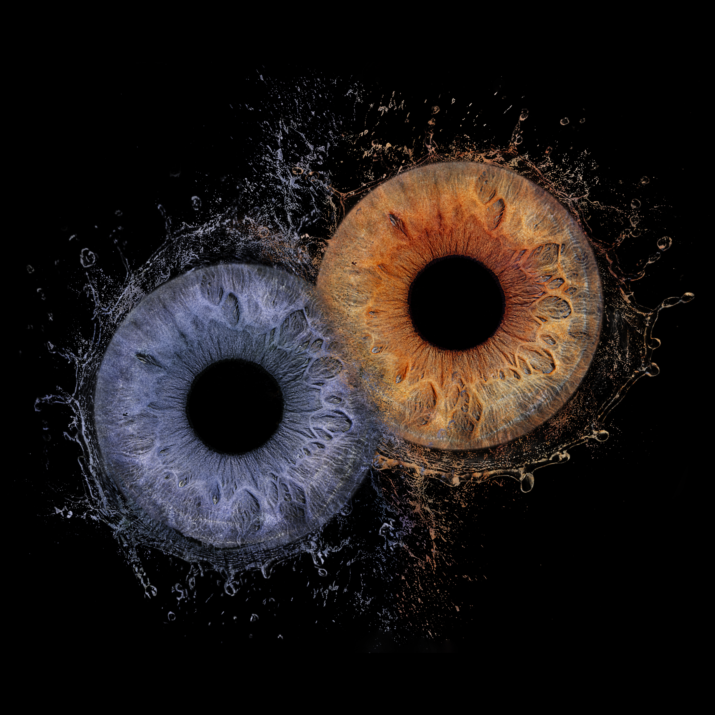 Iris Art Creation